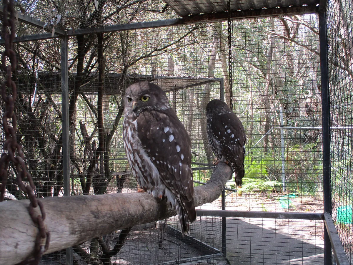 Ranger Red’s Zoo & Conservation Park