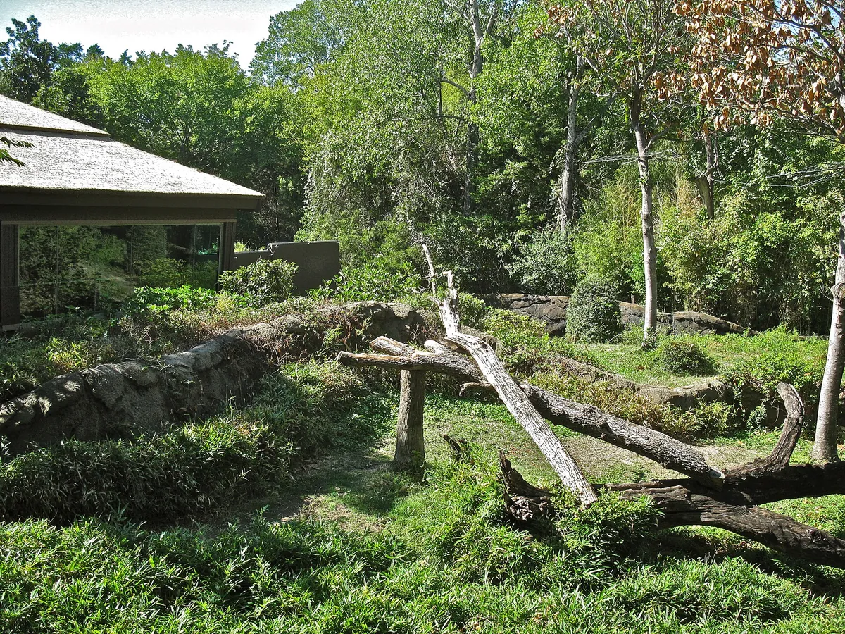 Dallas Zoo