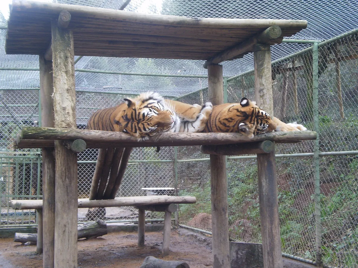 Zoológico de Concepción