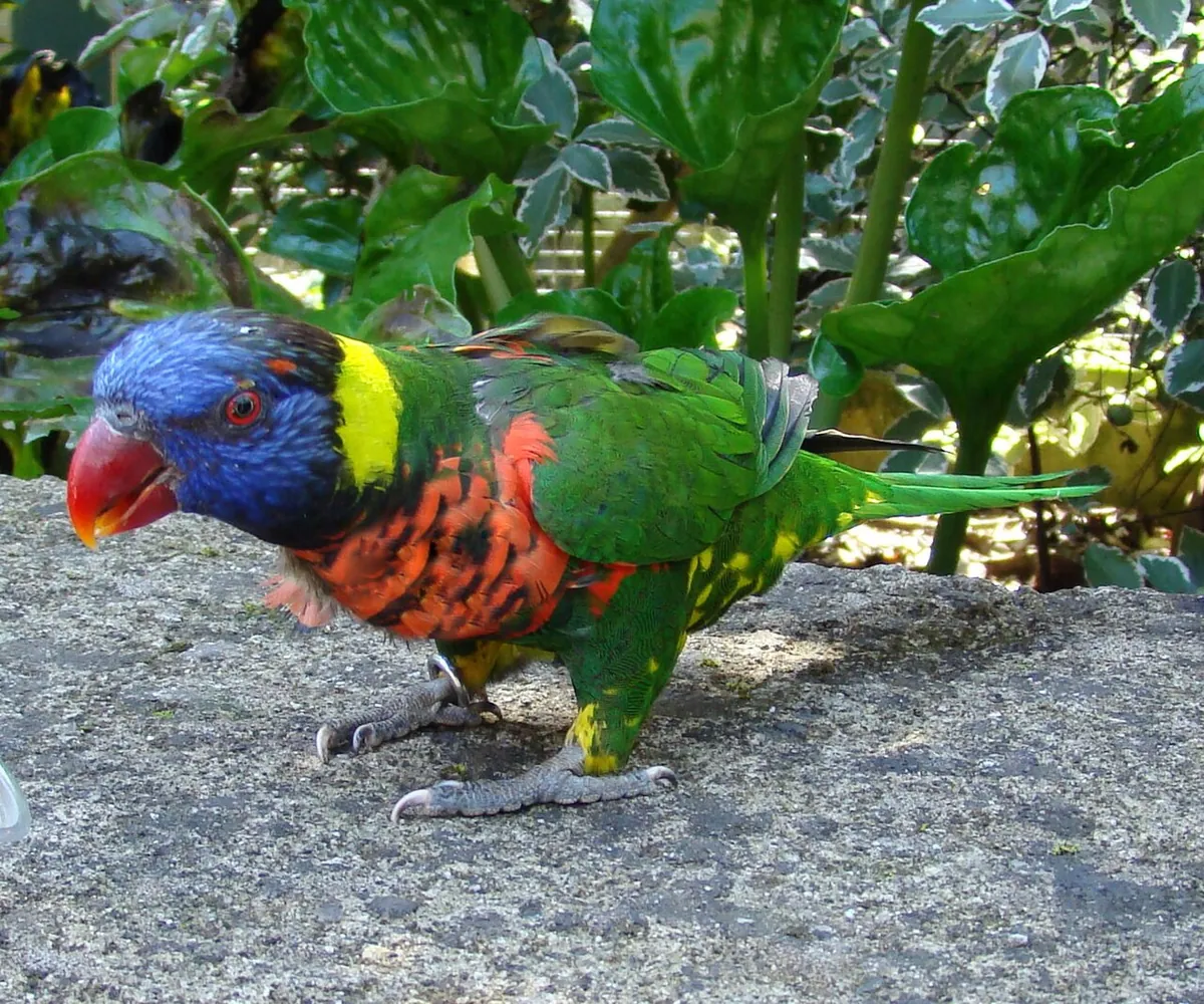 Paradise Wildlife Park