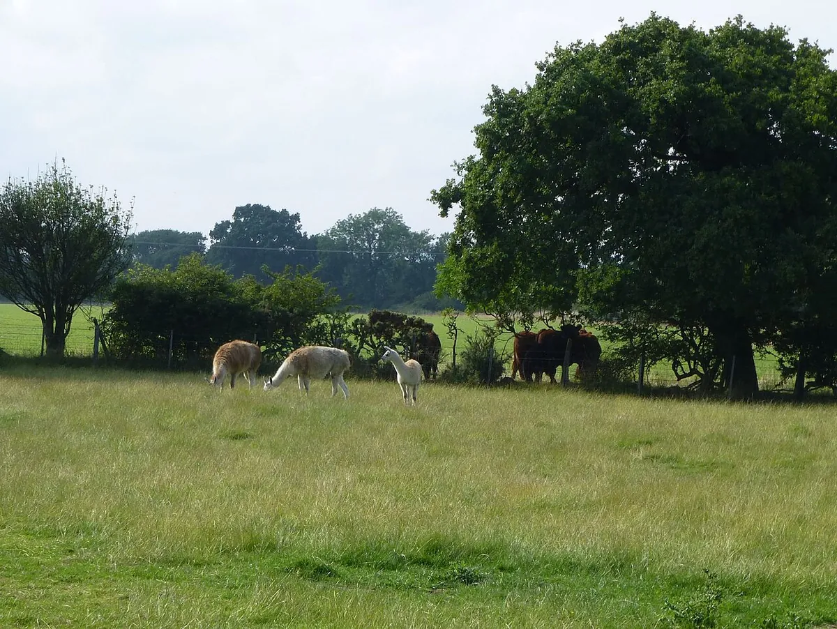 Northumberland Zoo