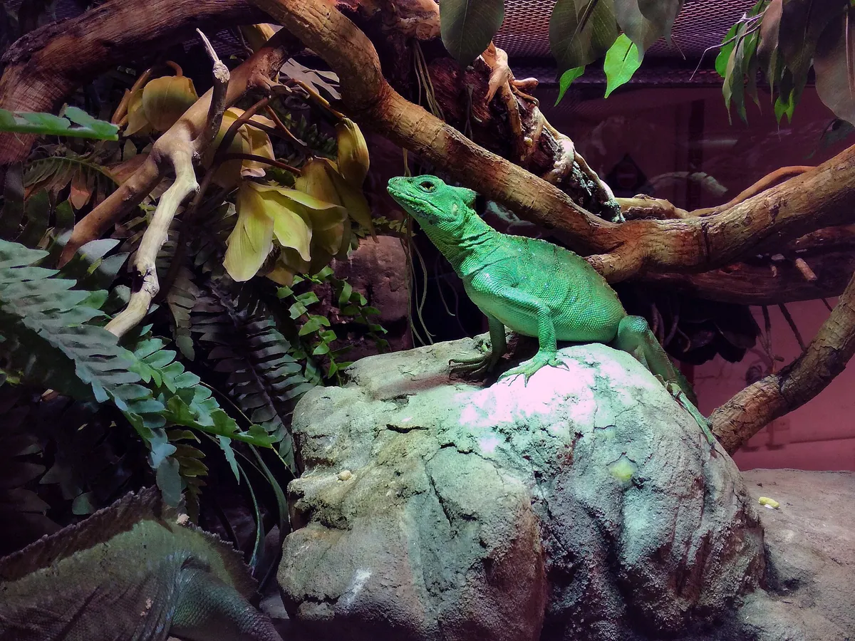 Aquarium of Cattolica