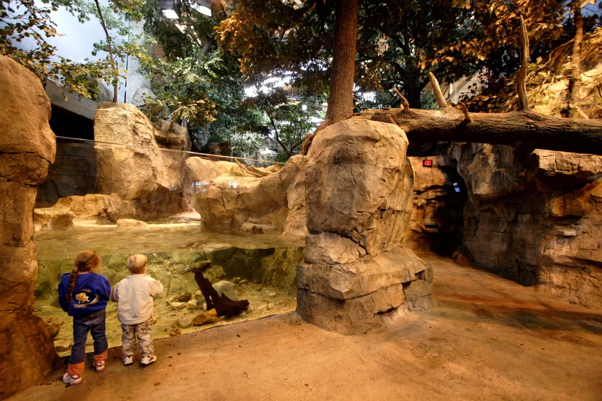 Johnny Morris' Wonders of Wildlife National Museum & Aquarium