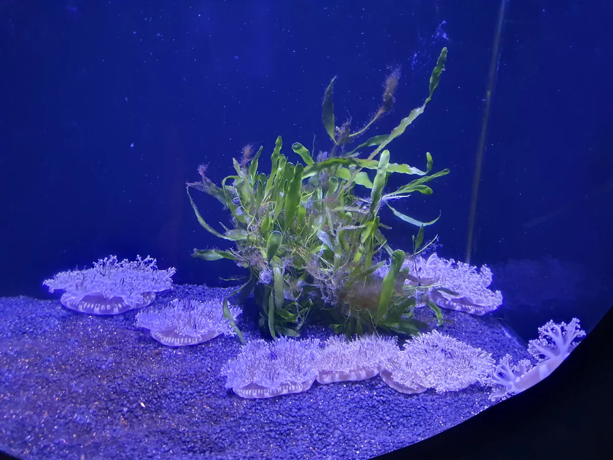 Malta National Aquarium