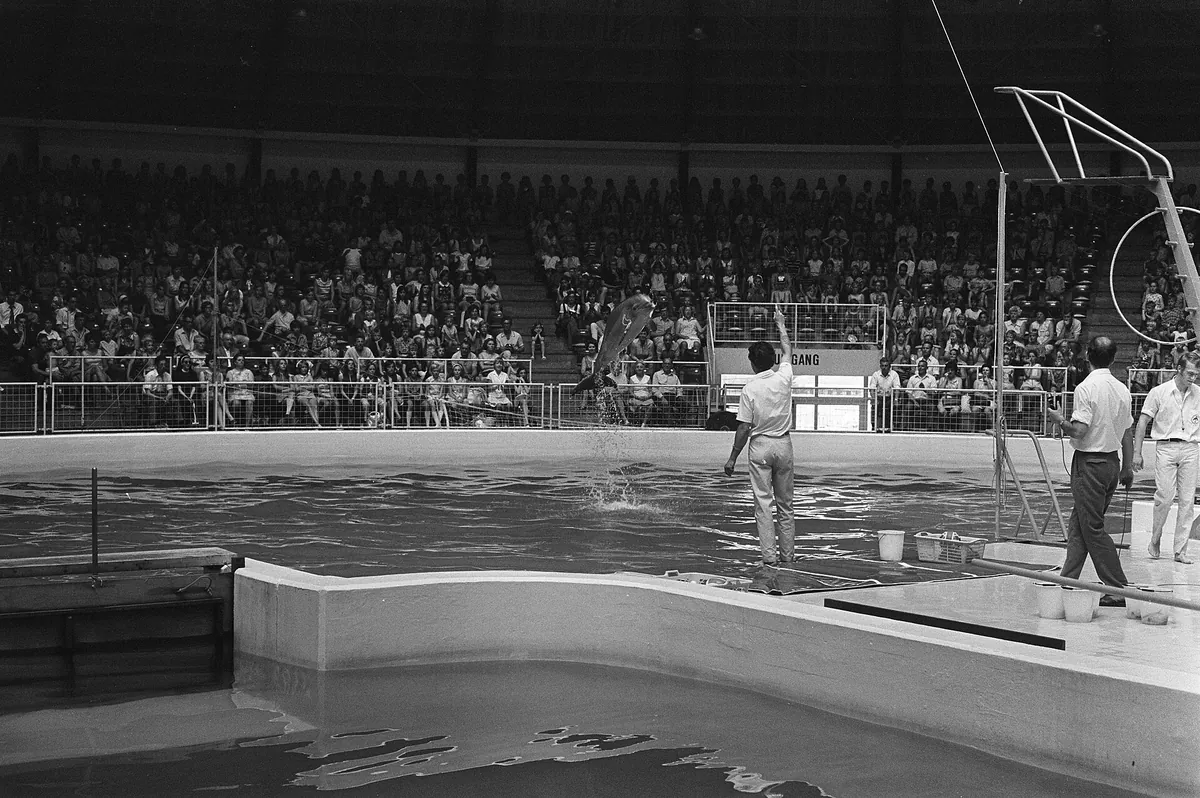 Dolfinarium Harderwijk