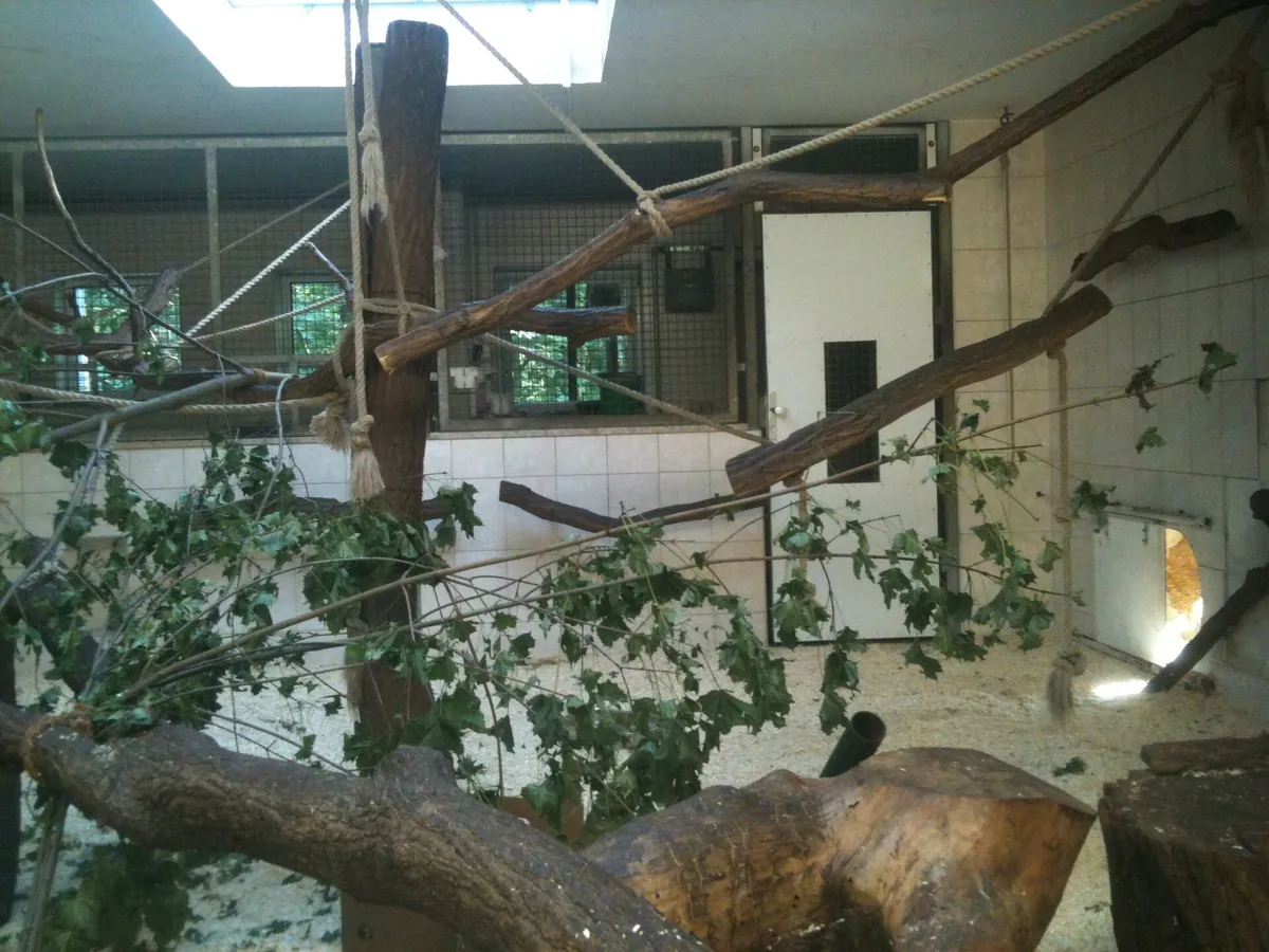 Tierpark Cottbus