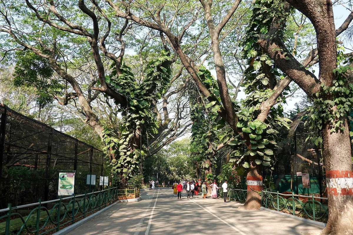 Mysore Zoo