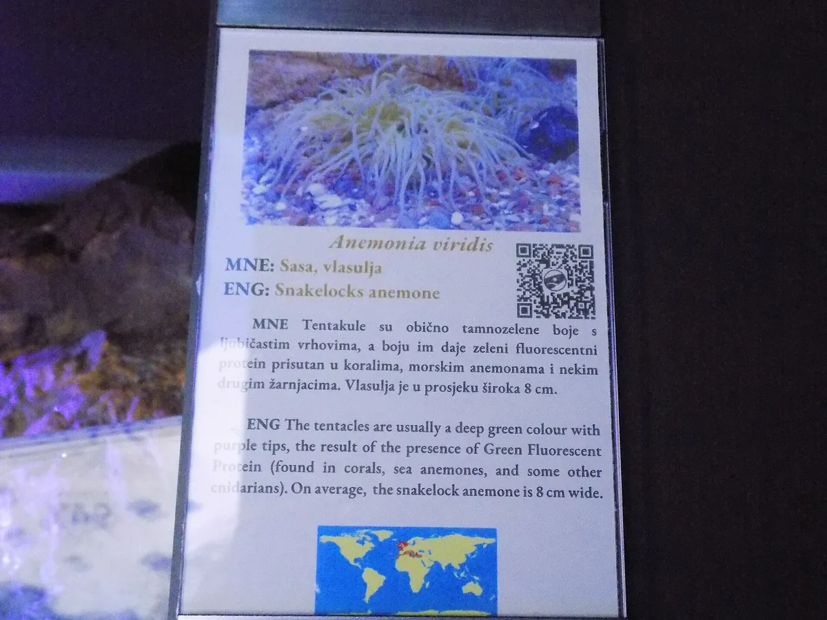 Aquarium Boka