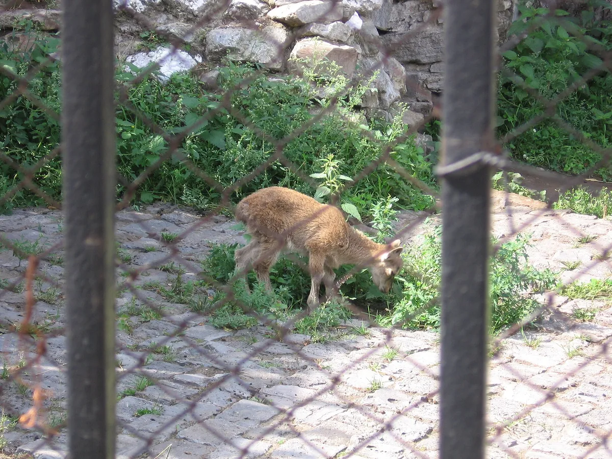 Perm Zoo