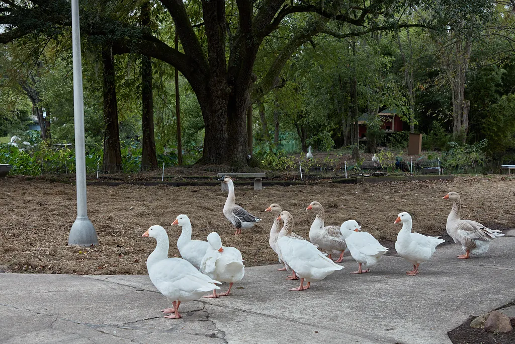 Louisiana Purchase Gardens and Zoo