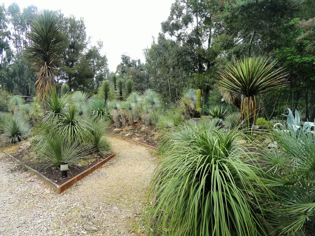 Jardin zoologique tropical