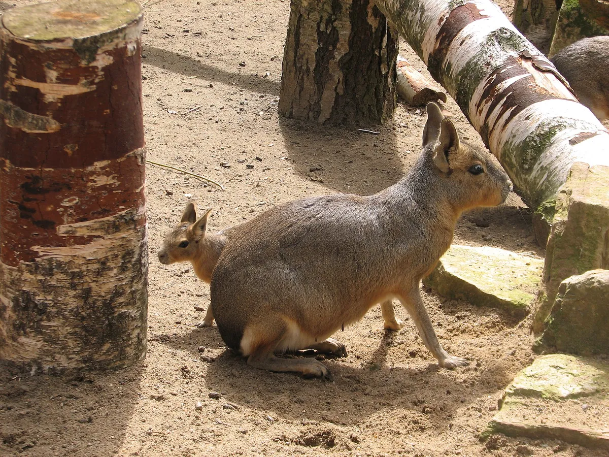 Tierpark Essehof