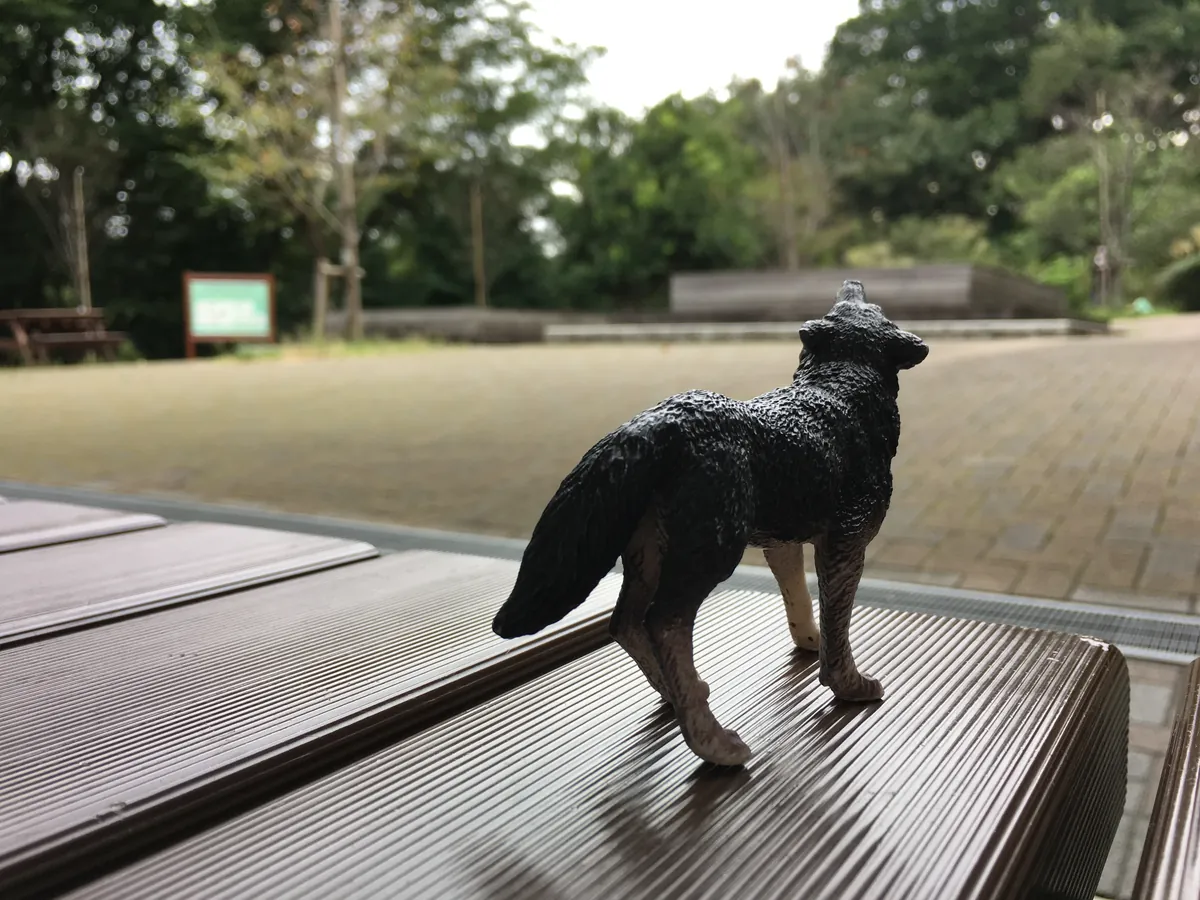 Tama Zoo