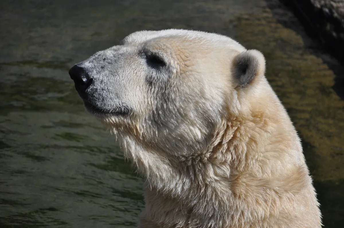 Rostock Zoo
