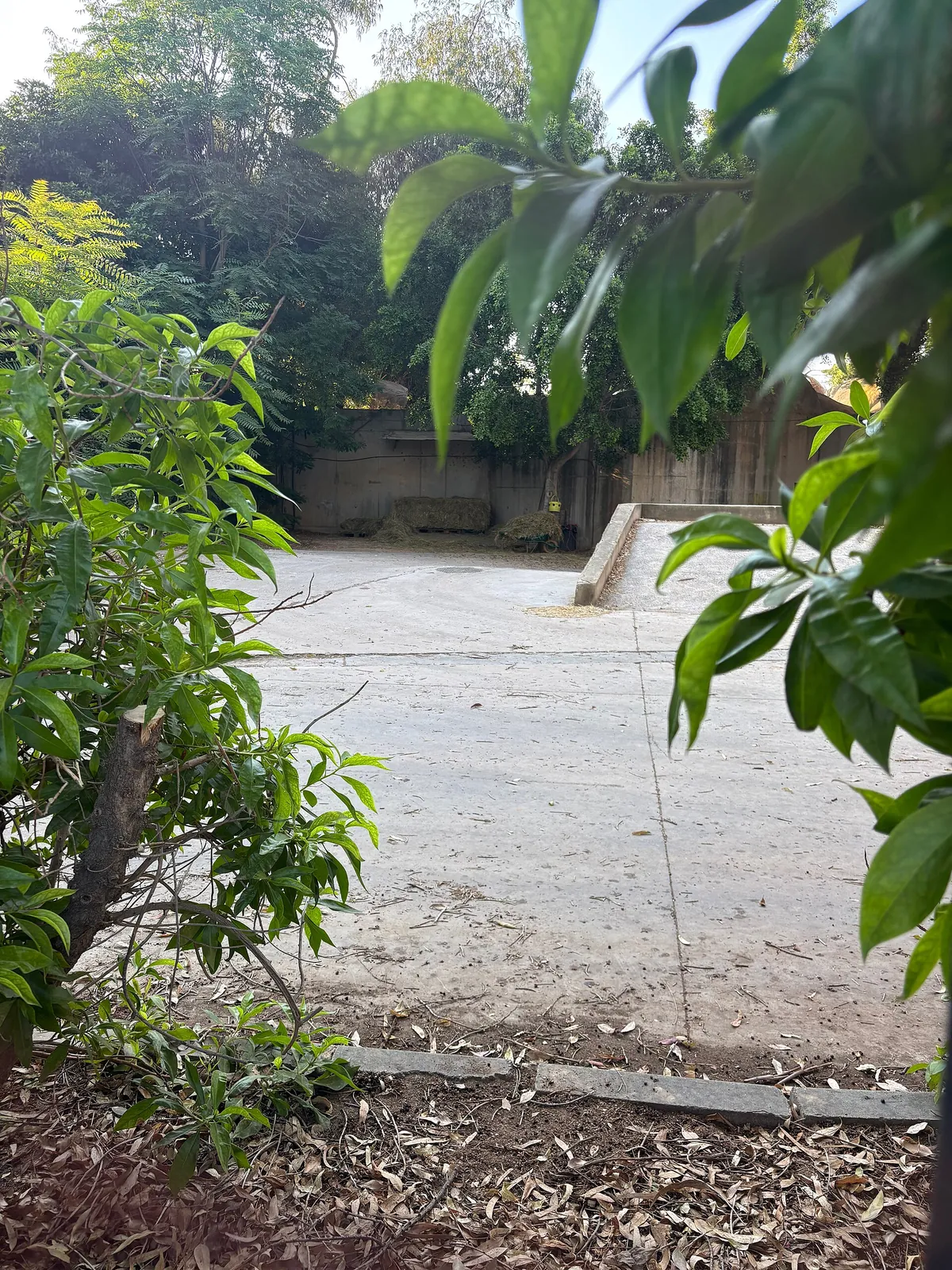 BIOPARC Valencia