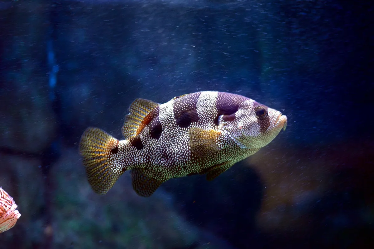 Sea Life İstanbul