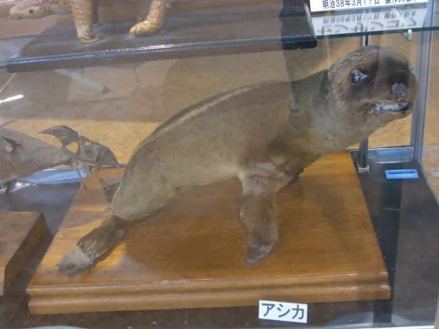 Hamura Zoo