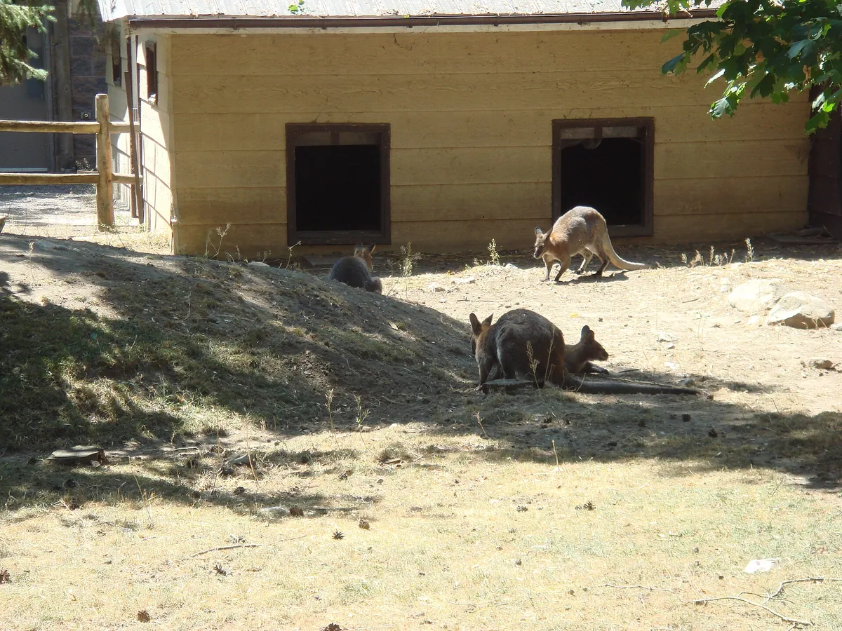 Riverviewpark Andzoo