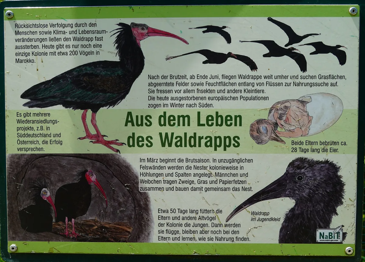 Tierpark Rosegg