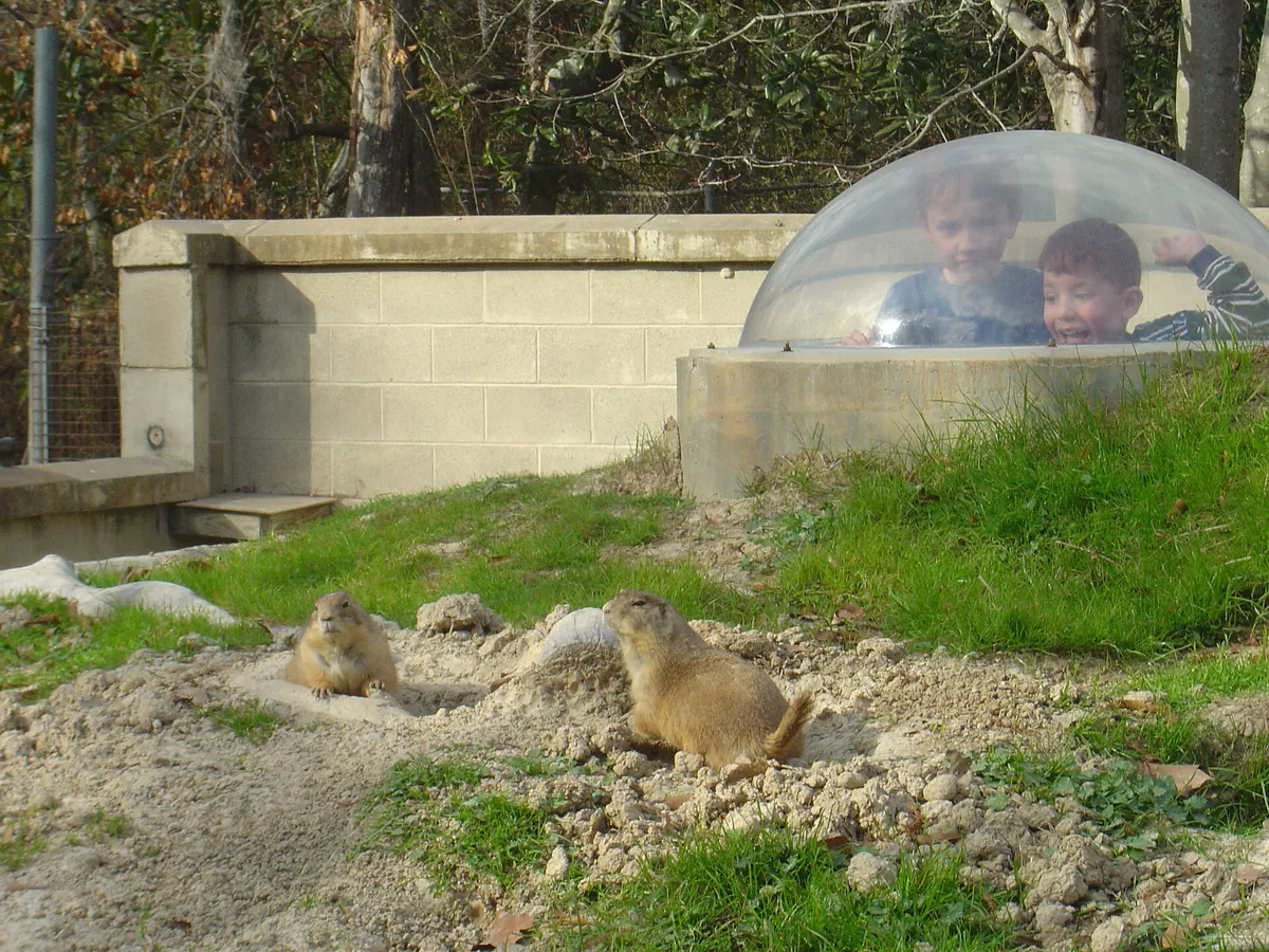 Baton Rouge Zoo