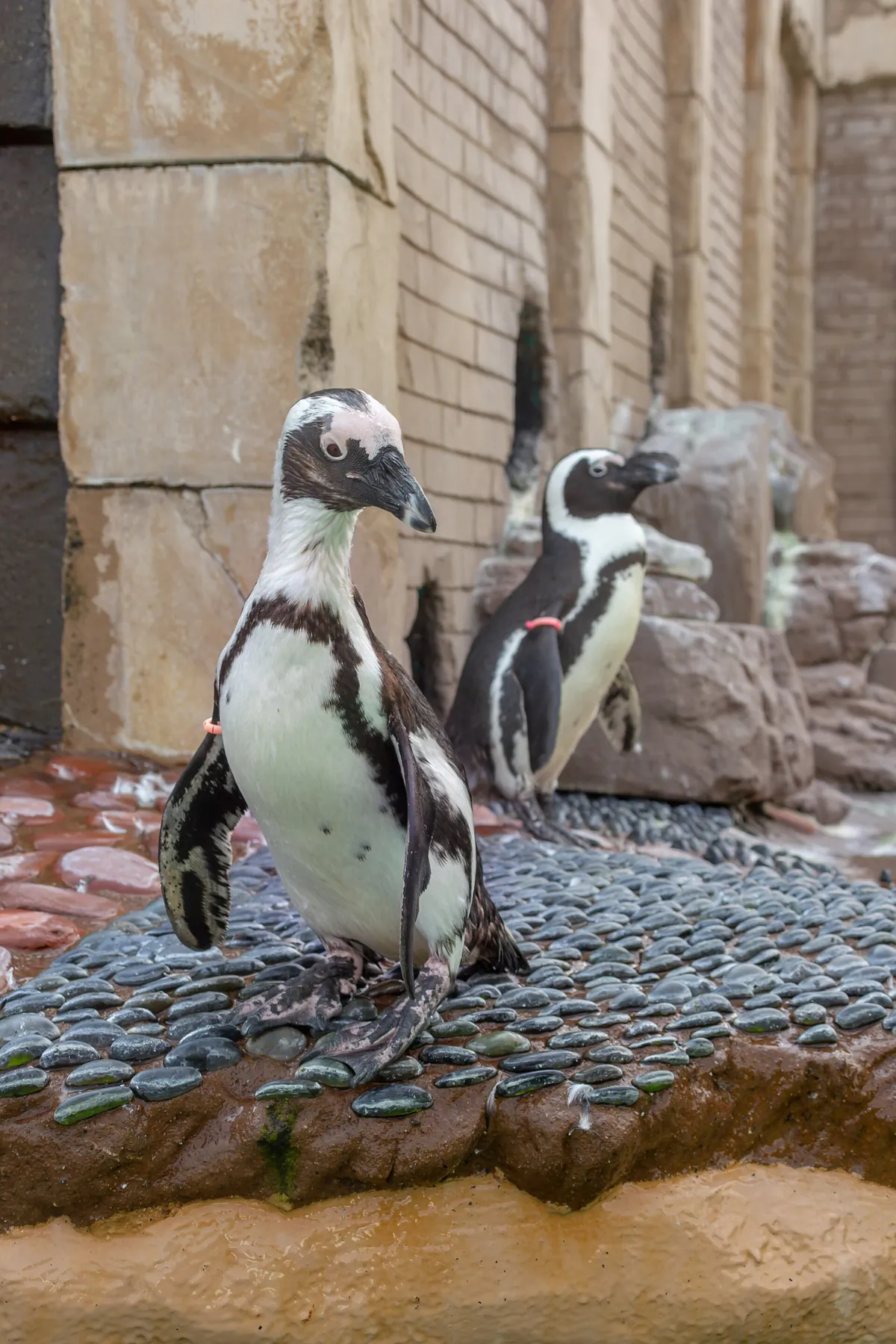 Long Island Aquarium and Exhibition Center