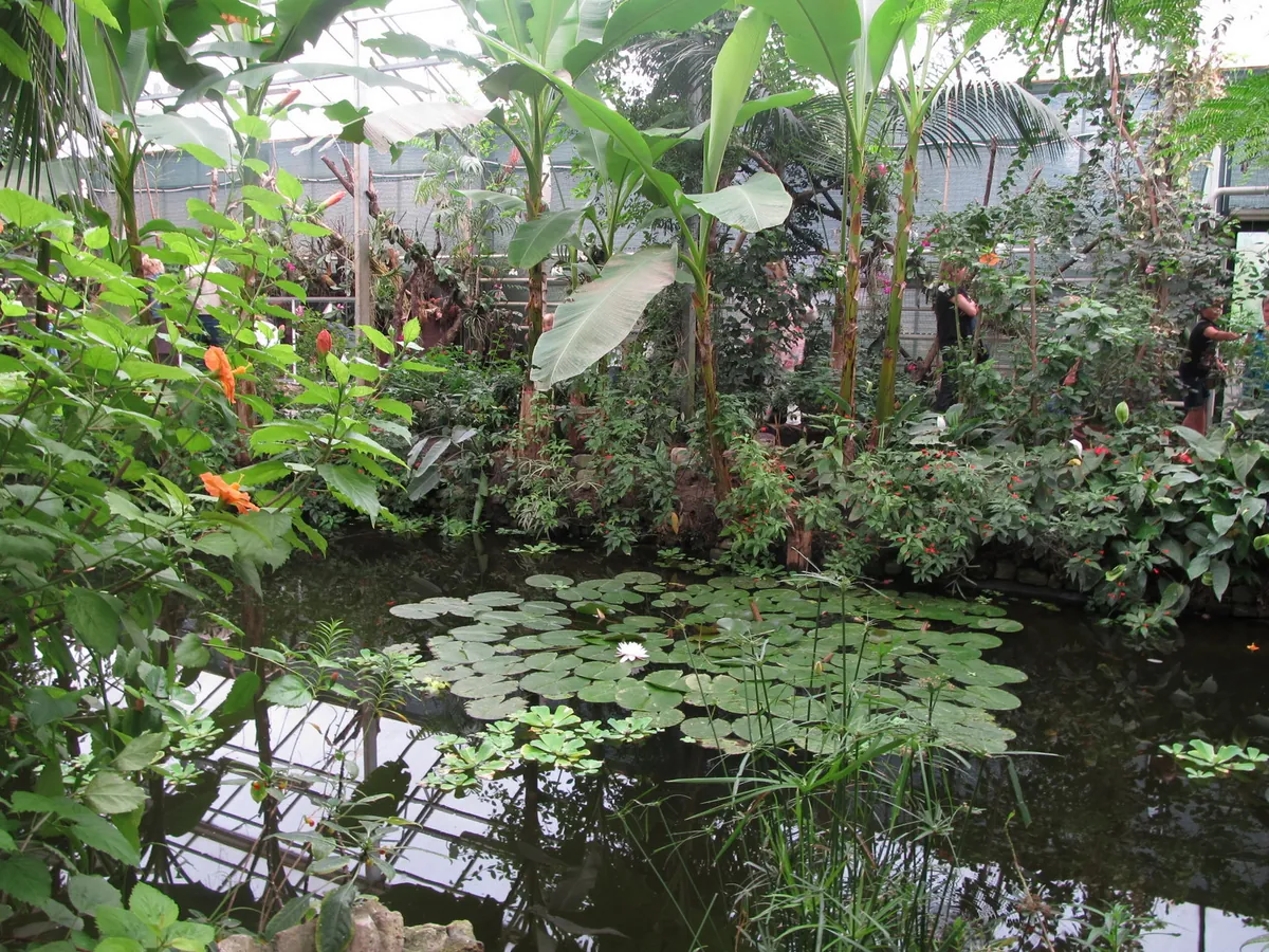 Berkenhof 's Tropical Zoo & Vlindertuin