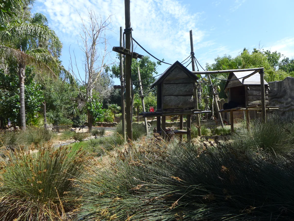 ZOO DE LAGOS
