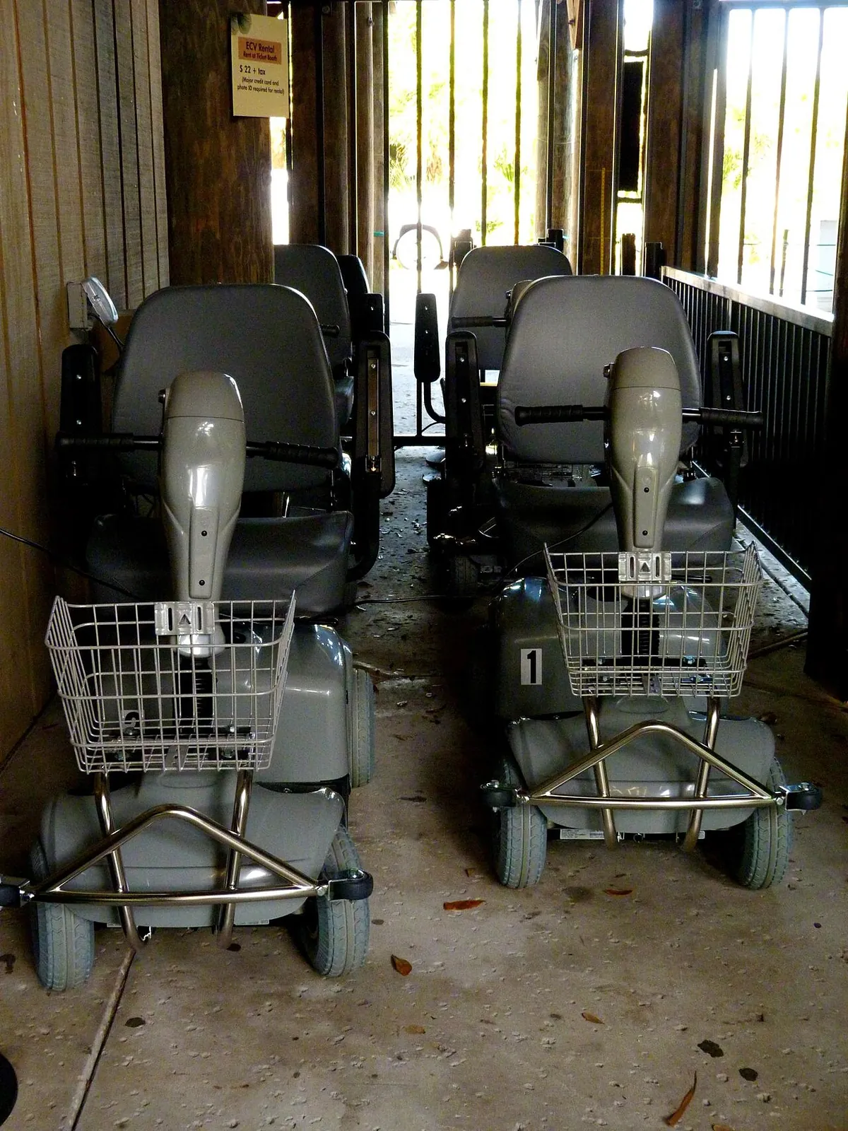 Brevard Zoo