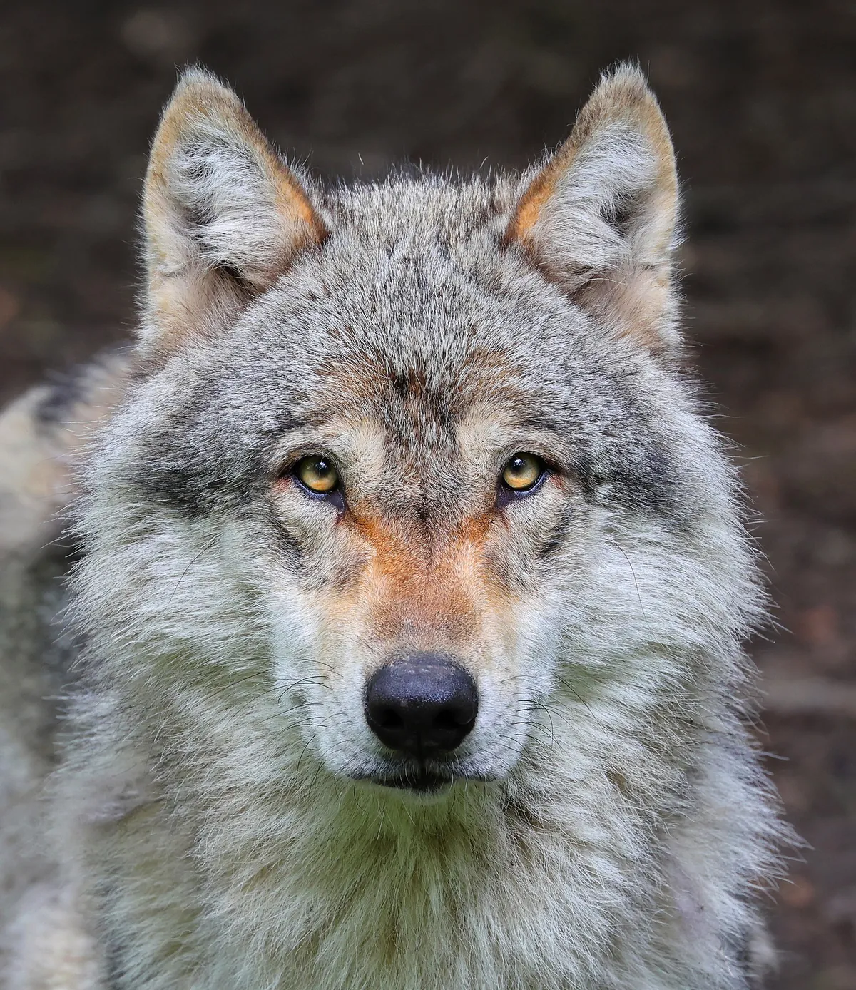 Domaine zoologique de Pescheray