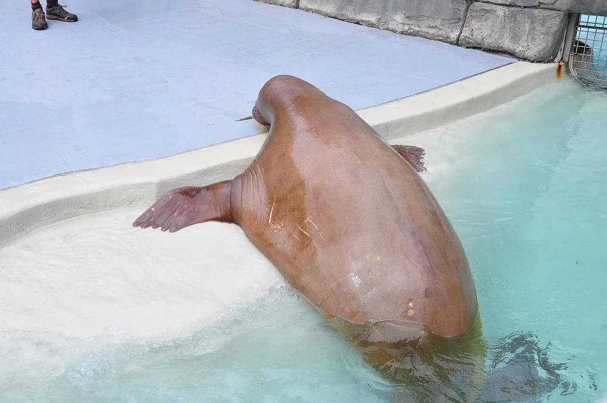 Aquarium du Québec