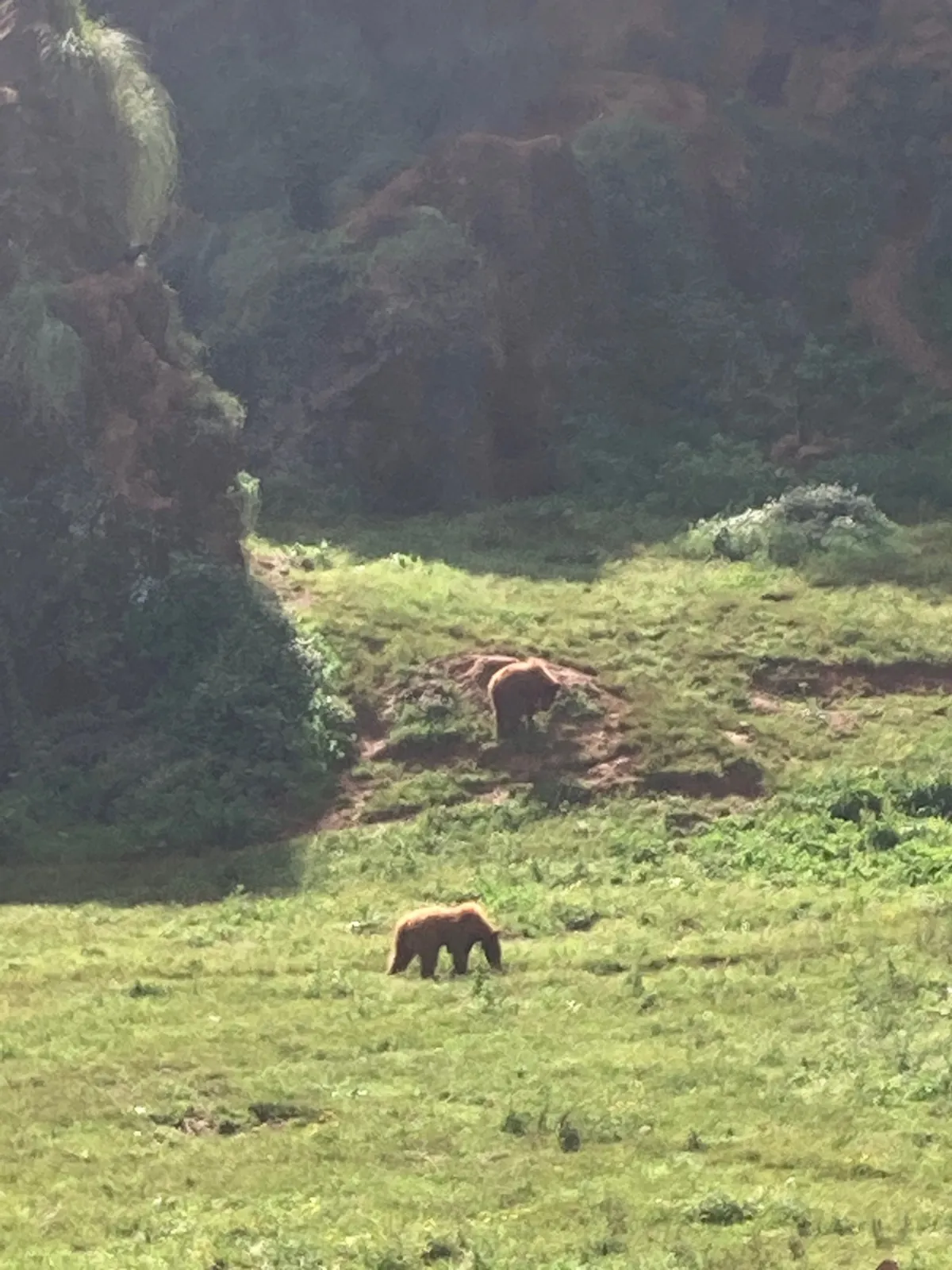 Parque de la Naturaleza de Cabárceno