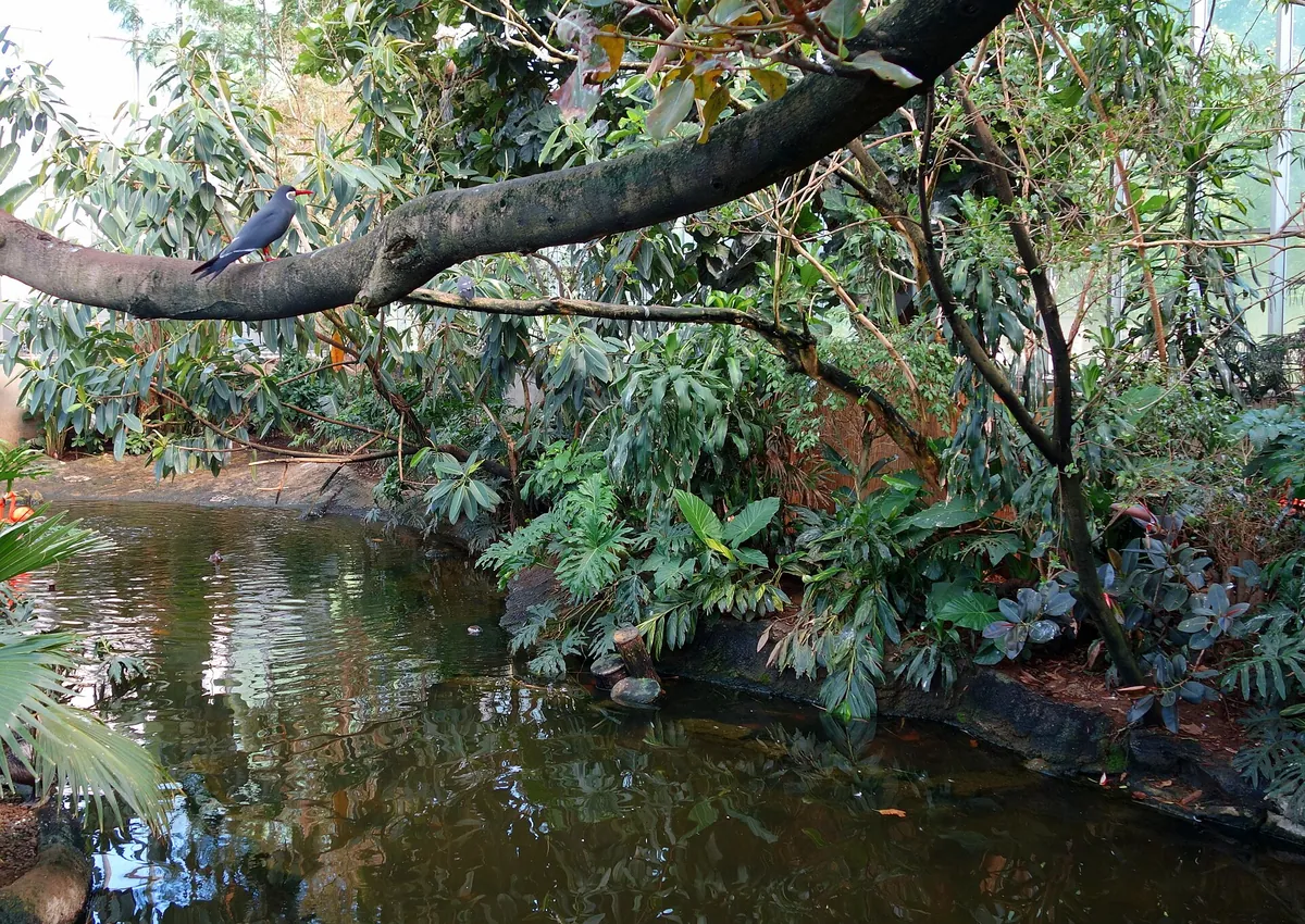 National Aviary