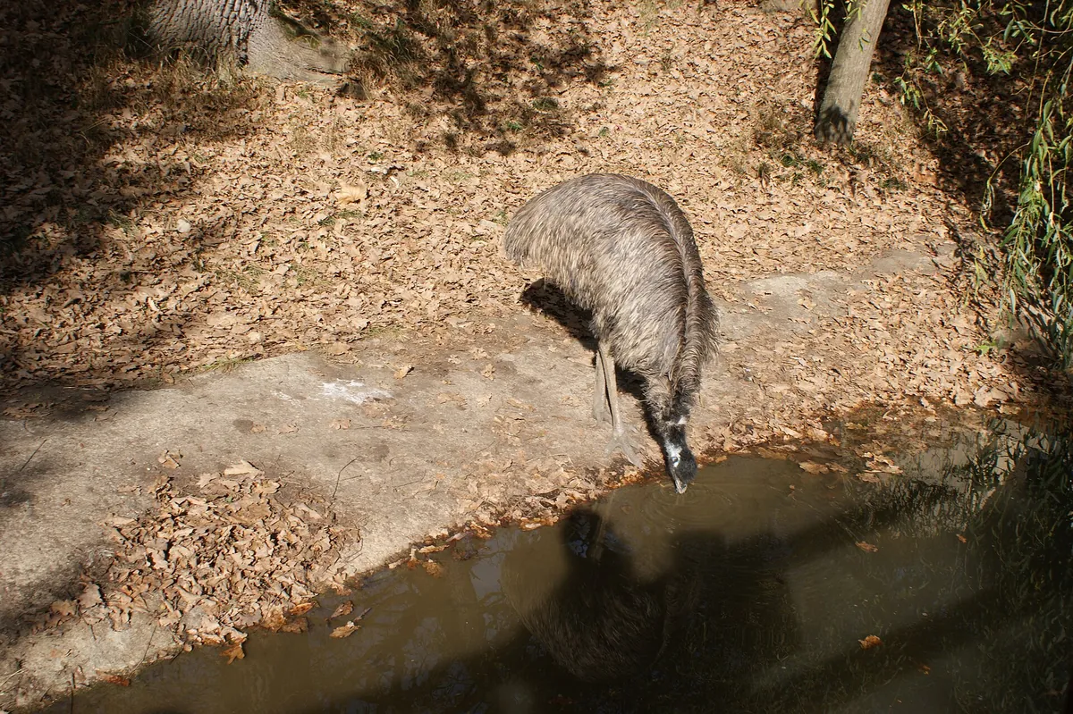 Zoo Sibiu