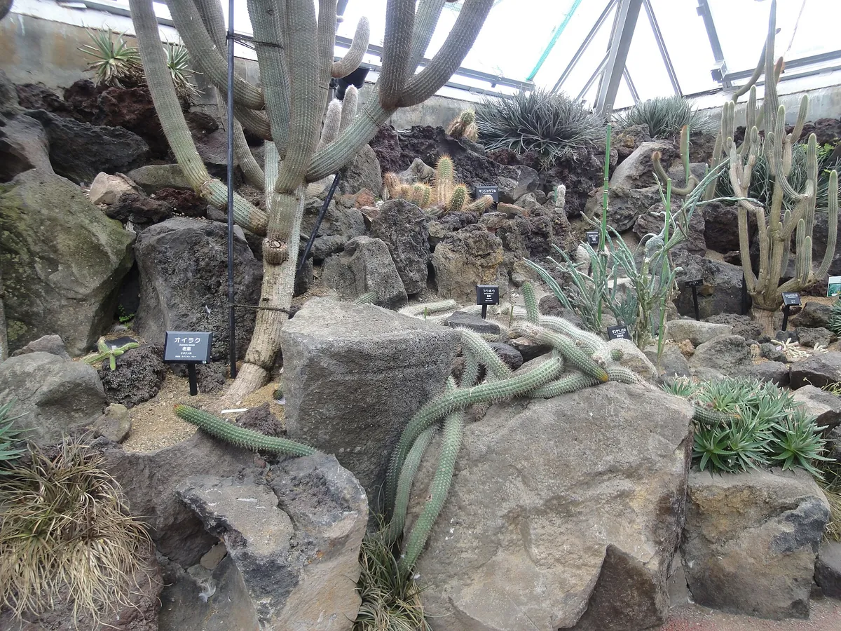 Izu Shaboten Zoo