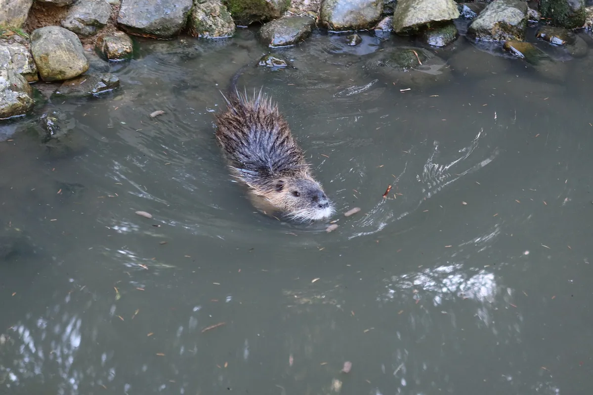 Bergtierpark Blindham