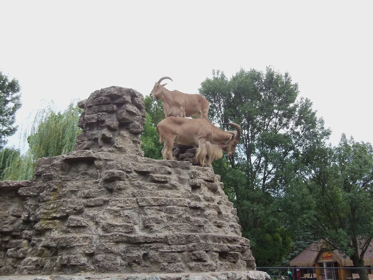 Niabi Zoo