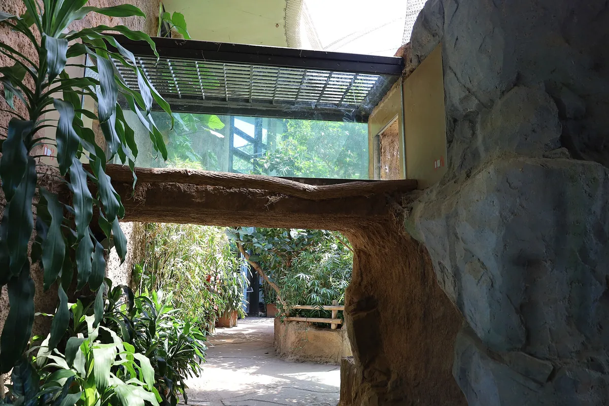 Zoo Frankfurt
