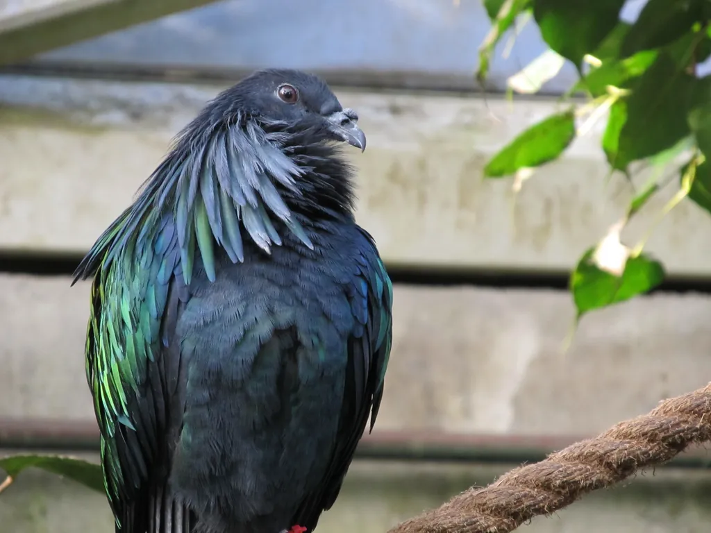 Topeka Zoo and Conservation Center