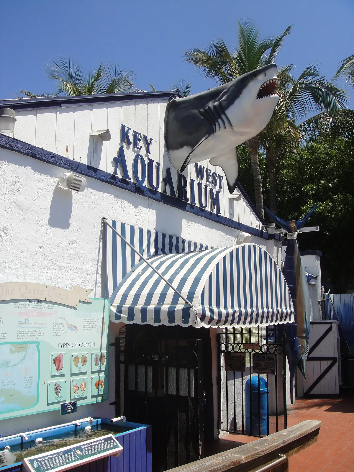 Key West Aquarium