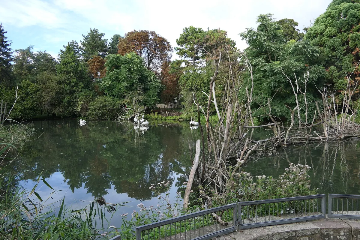 Zoo Heidelberg