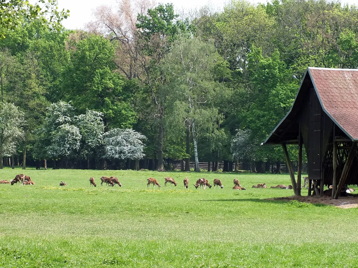 Wildpark Leipzig