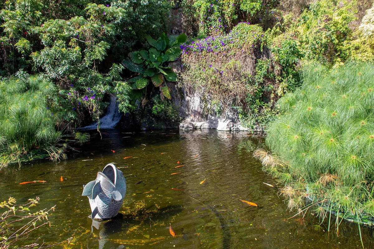Loro Parque