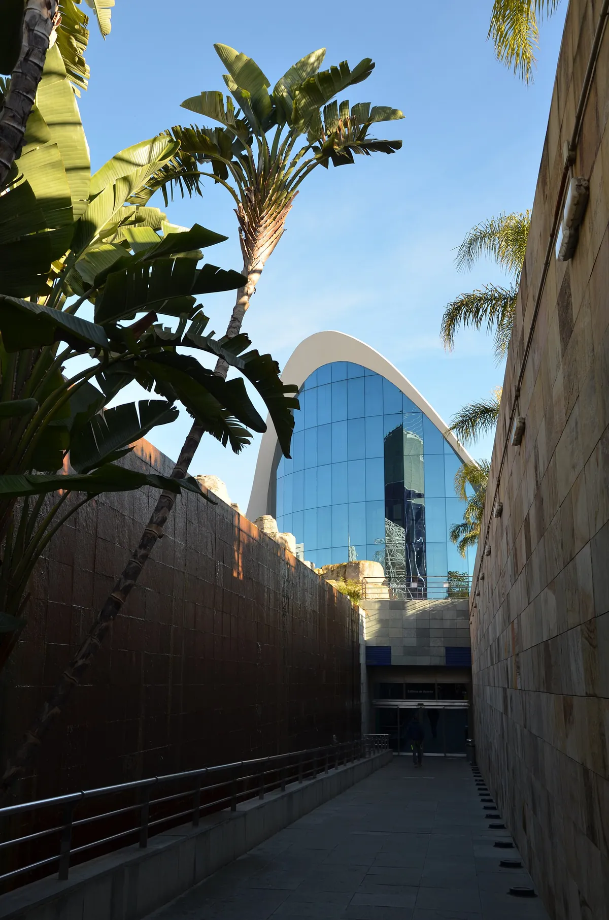 L'Oceanogràfic