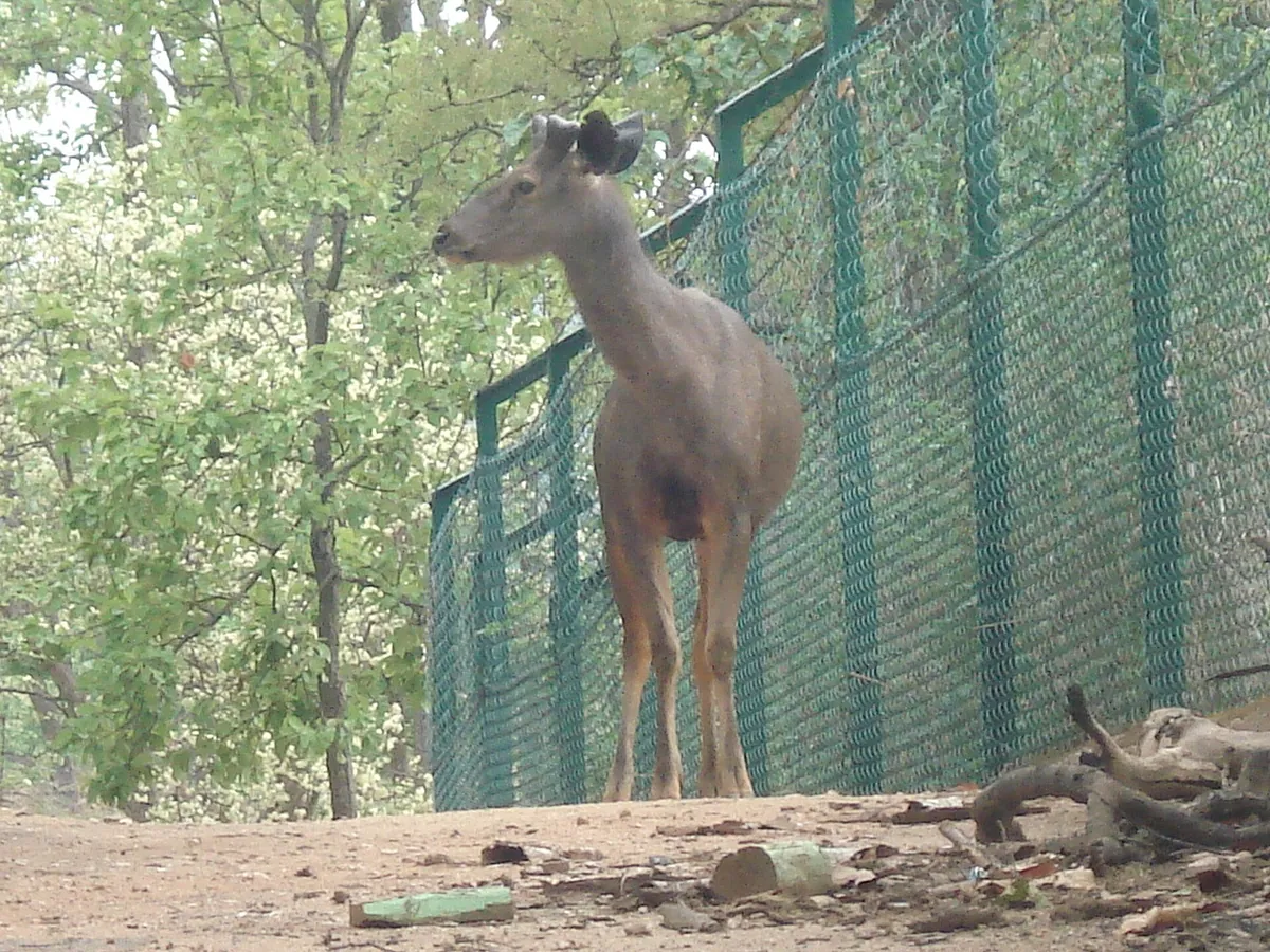 Bhagwan Birsa Biological Park