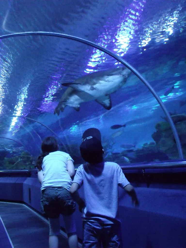 Aquaria KLCC