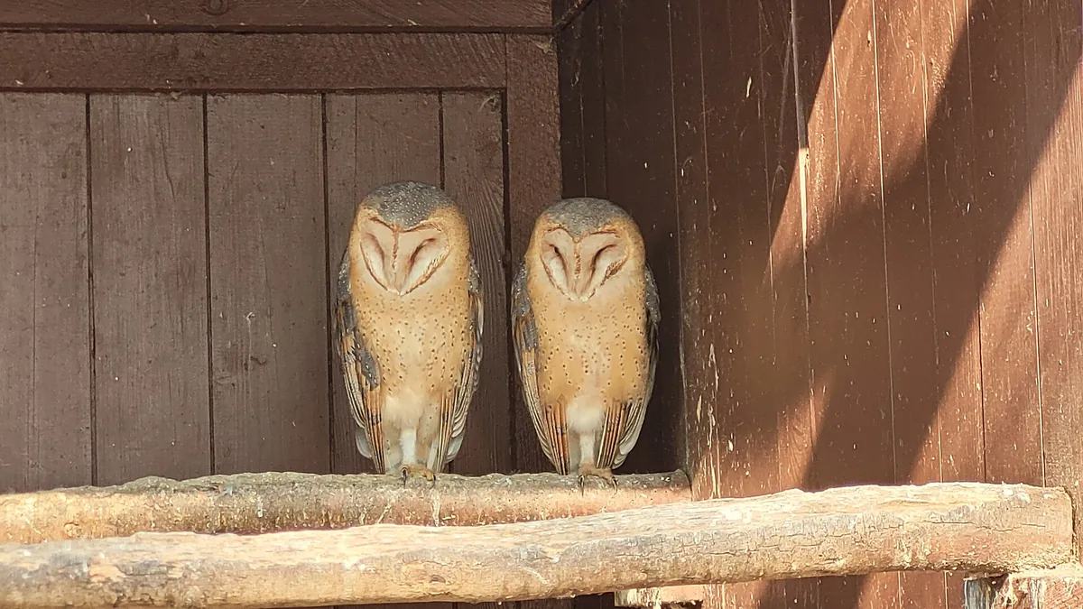Vogelpark Niendorf