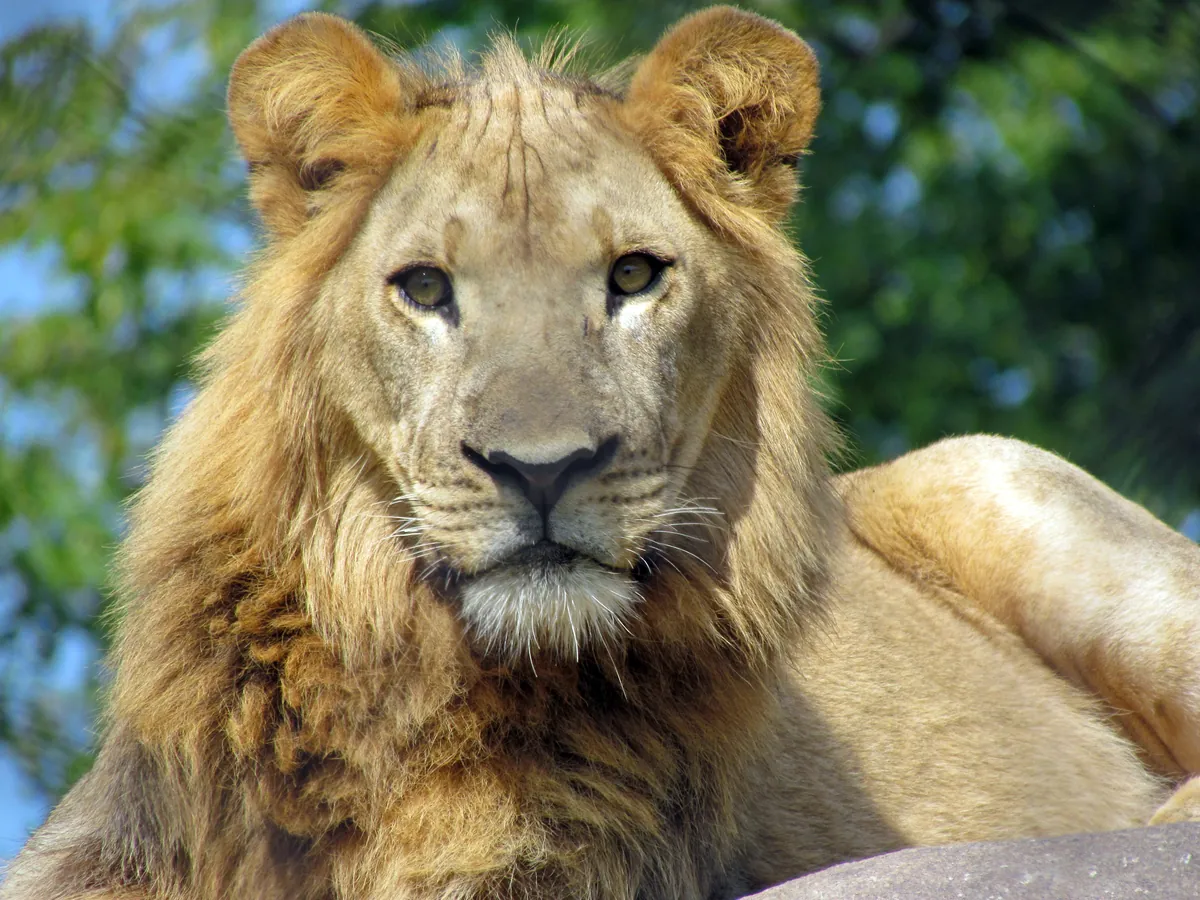 Seneca Park Zoo