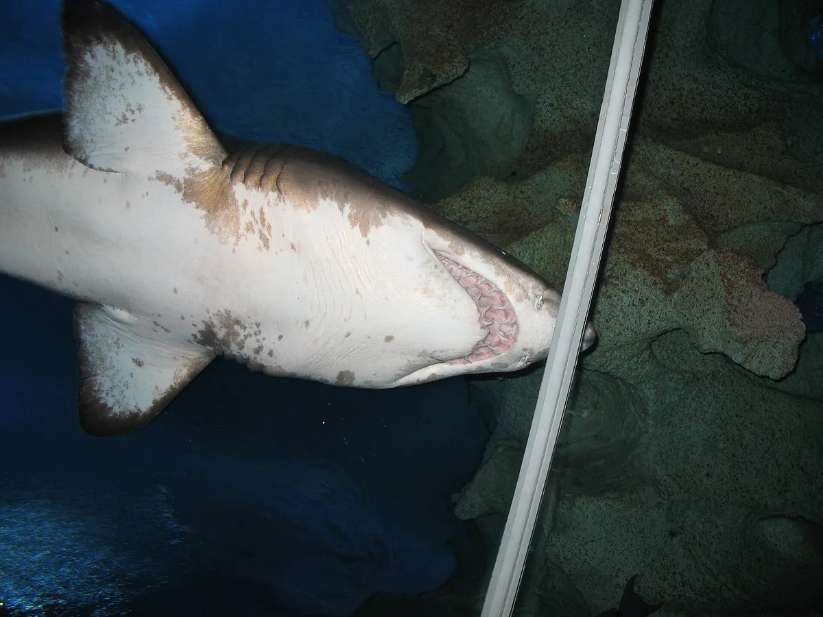 Aquaria KLCC