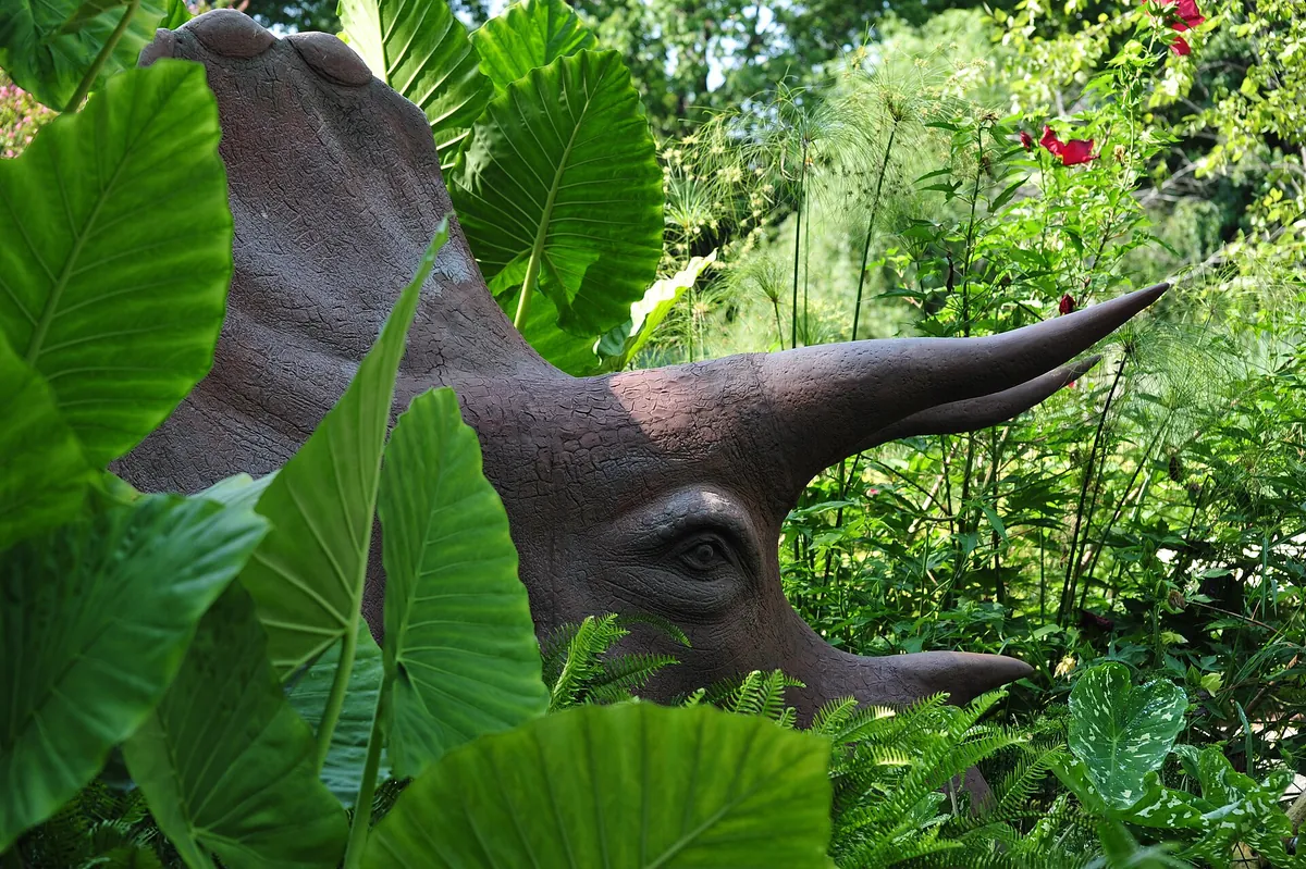 Smithsonian's National Zoo and Conservation Biology Institute