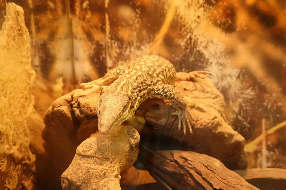 Happ's Reptilienzoo